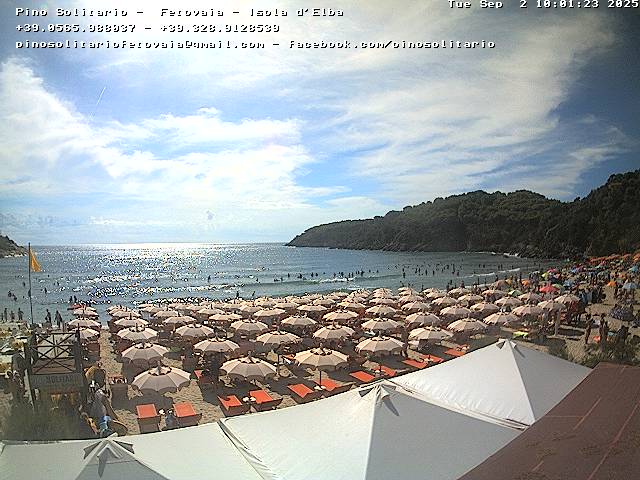 Camera Live Image
