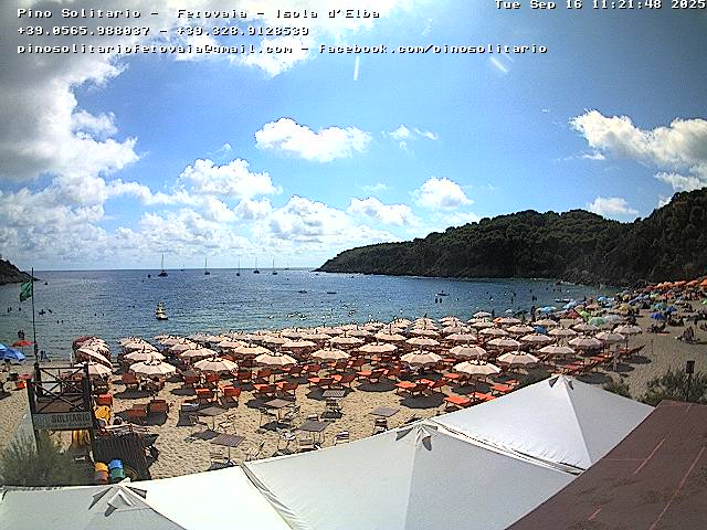 Camera Live Image