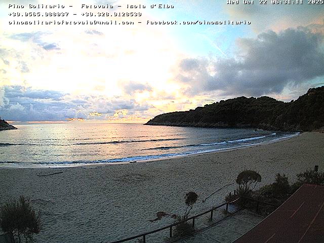 Camera Live Image
