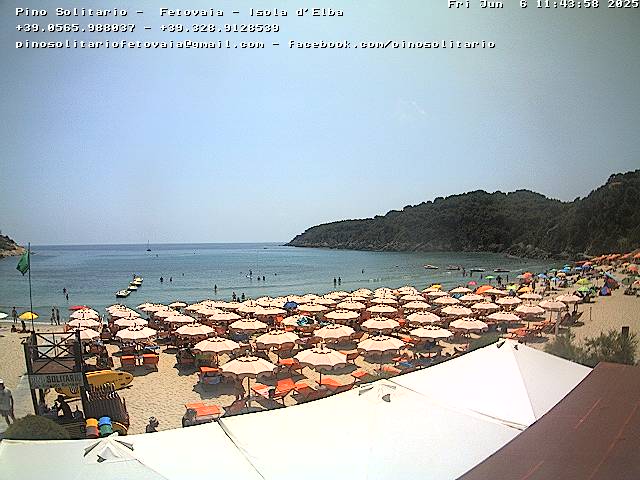 Camera Live Image