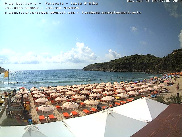 Camera Live Image