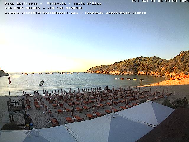 Camera Live Image